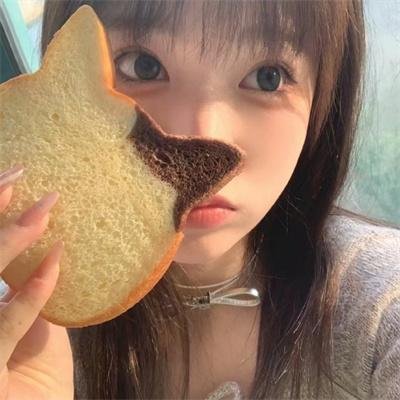 动画